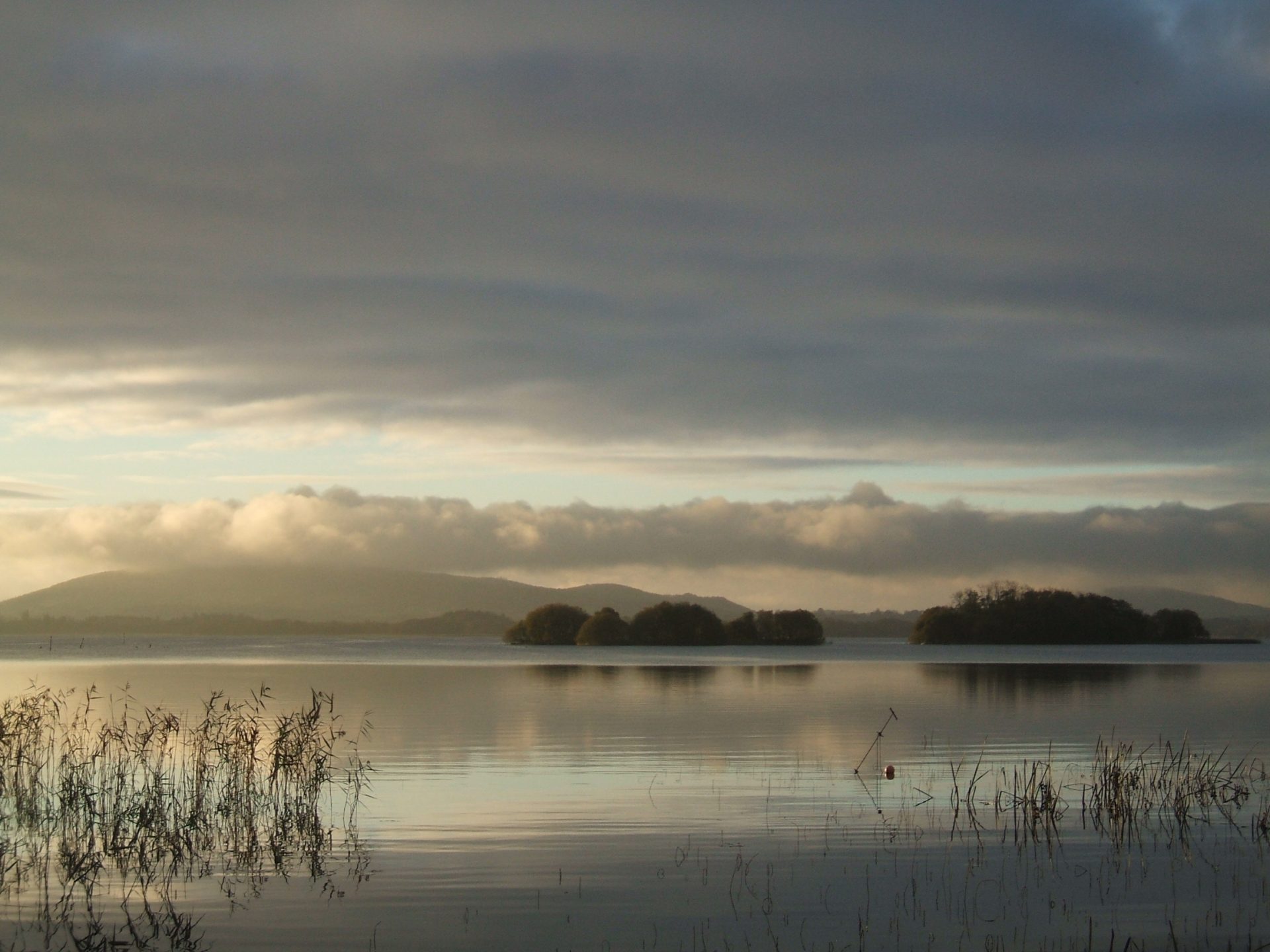 Sheelin Sheelin 2024 – Cairde an Chláir
